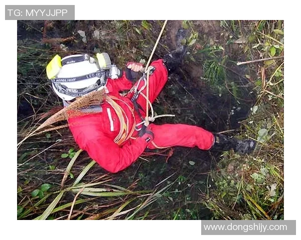 重庆极限运动队的节奏变迁与成败分析探讨